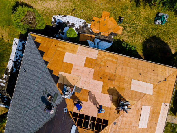 Best Roof Gutter Cleaning  in Wilderness Rim, WA